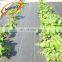 Agricultural Clear Black Plastic Weed Mat For Sale