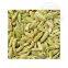High quality fennel essential oil wholesale