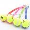 Outdoor sport interactive pet tennis ball launcher toy dog ball thrower