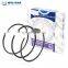 Diesel Engine Part Piston Ring Set 95mm for VT365 1845605C92/1846505
