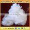 PP Staple fiber for non-woven fabrics and Spinning