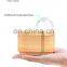 Travel Case USB Portable Waterless Aroma Air Essential Oil Nebulizing Ultrasonic Mini Humidifier
