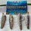 Hot Sale Frozen Powdered Hgt Anchovy Fish