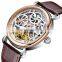 Ailang 6815 Brand Mens Skeleton Mechanical Watches Waterproof Tourbillon Watch Automatic Movement