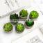 Artificial Bonsai Home Decoration Small Cheap Desktop Plastic Plant Artificial Succulent With Pulp Paper Pot