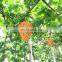 Outdoor Hanging Waterproof Material for Hornets Yellow Jackets Paper Wasp Deterrent Wasp Nest Trap