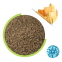 Natural Microbial Rennet chymosin enzyme granular 2250imcu/g with 10 mesh for vegan cheese