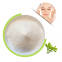 Supply Food Grade Green Tea Leaf Extract 25% Polyphenols Powder
