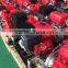 JBQ5.0/9 Gasoline fire water pump
