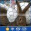 Hot sale plastic coating hexagonal wire netting with great price