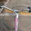 cheap steel frame city bicycle