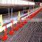 Easy Management Broiler Ground Raising