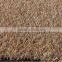 Colorful Kindergarten Synthetic Grass turf,garden supplier,football artificial grass