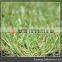 Sunwing wholesale artificial grass for landscaping garden roadside