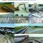 PE Mine Tailing Discharging Pipeline