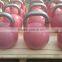 chrome plated competition kettlebell