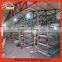 hot-sale large-scale automatic poultry farming equipment for Cobb 500 broiler