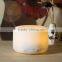 USB Mini Essential Oil Diffuser With LED Light