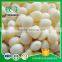 Organic Appetizing Peeled Garlic Cloves In Brine