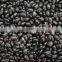 we are supplying all kinds of black beans for sale