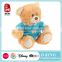 Teddy Bear Sedex Factory Audit Wholesale Soft Toy