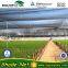 60% agriculture low price HDPE sun protection netting for farm