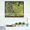 Van Gogh painting Tree Trunks in the Grass wall pictures for friends