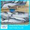 Frozen sardine fish for bait