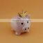 CERAMIC PIG PIGGY BANK COINS MONEY BOX SAFE SAVINGS CASH GIFT With Crown