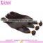 7A top quality filipino virgin hair extensions wholesale