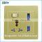 UK standard PC material 13a 1gang switched socket with double USB socket