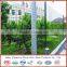 PVC Coated welded wire mesh fence/euro holland wire mesh fence