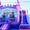 Frozen commercial bouncy castles, 3 in 1 purple and pink air trampoline for child