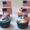 disposable birch wood flag toothpick, paper flag stick