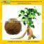GMP Factory Supply Free Sample Pueraria Extract
