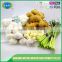 Chinese bulk natural solo garlic for sale