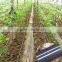 High quality drip irrigation tape for farm land irrigation Drip tape with double line