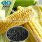 Potassium Humate For Soil Improvement Extracted From Leonardite