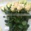 50cm-80cm stem fresh flowers fresh cut Roses on sale