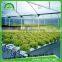 NFT hydroponic system for open greenhouses used greenhouse agricultural equipment