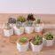 Zakka combination potted six sides indoor glazed pottery planters with bamboo tray