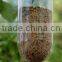 Bird Canary,bird Nets for Catching Birds,wooden Bird House