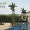 cheap Artificial coconut trees,outdoor coconut palm tree plastic tall tree