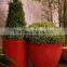 flower pot