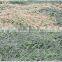 Army Double side coating Camo infra red IR mesh tactical netting