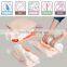 10 pieces Wholesale Price Roll-up Compression Vacuum Saving Storage Bag Seal Compressed Organizer Camp Travel Home Luggage Pack