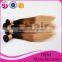 Black Rose Straight Colored Brazilian Ombre Weave Hair, Wholesale Three Tone Ombre Colored Human Hair Extension