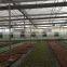 agricultural equipment greenhouses for flower , vegetable and fruit