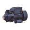 QB70 0.75HP Peripheral Pump