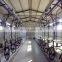 Milking parlor machine milking machine for cows